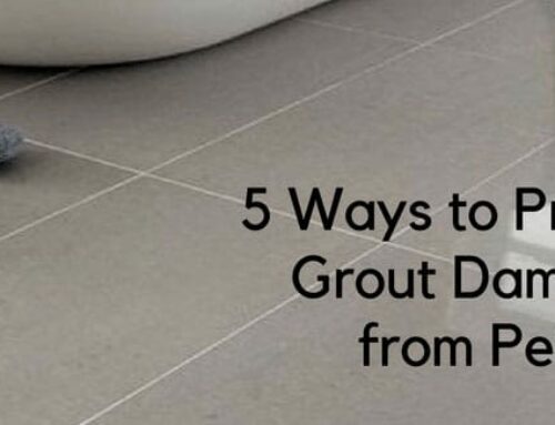 5 Ways to Prevent Grout Damage from Pets
