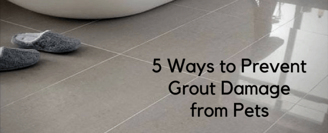 5 Ways to Prevent Grout Damage from Pets with Americhem LLC, AZ